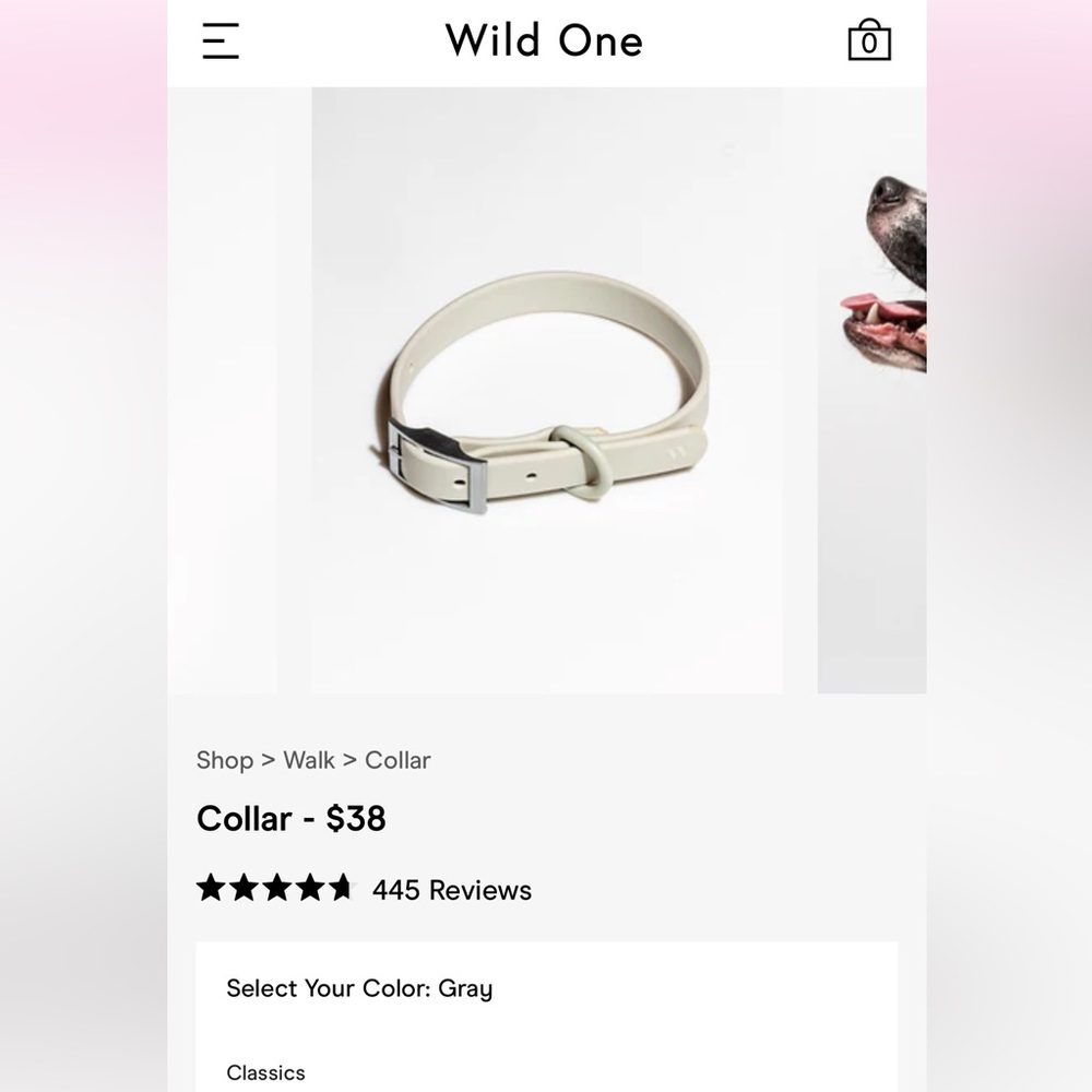 Wild One Dog Collar | Grey, XL